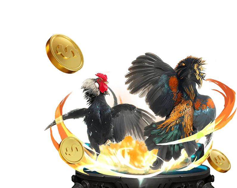 Trò chơi đá gà b29 quay hũ